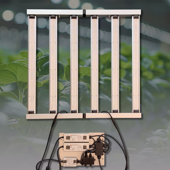 Sundro Sunplus S1000 PRO Gartenbau-Gewächshaus-Streifenlampe, volles Sepctrum, dimmbare Balkenpflanze, 1000 W LED-Wachstumslicht