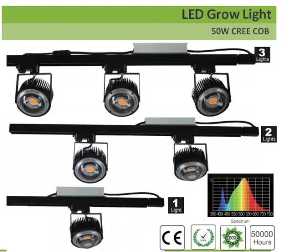 Fabrik 50W 100W Crees COB Cxb3590 LED-Wachstumslicht 3000K Vollspektrum für Gewächshauspflanzen LED-Wachstumslicht